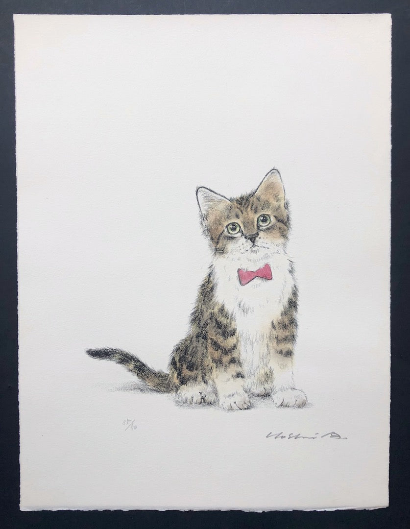 - Kitten In a Red Bow tie -