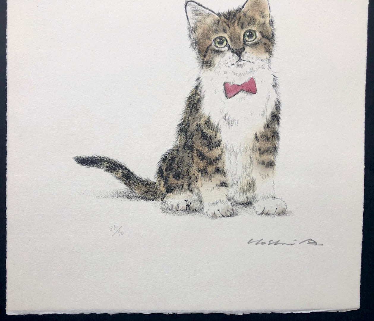 - Kitten In a Red Bow tie -