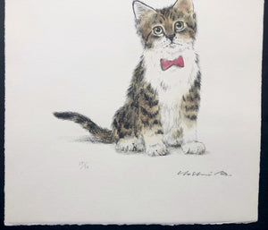 - Kitten In a Red Bow tie -