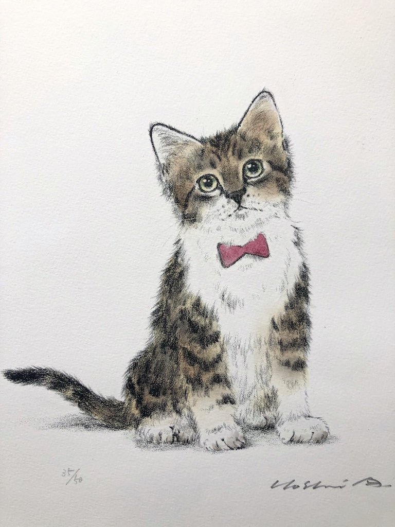 - Kitten In a Red Bow tie -