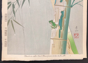 - Mosodake, Aogaeru  (Moso Bamboo and a Frog ) -