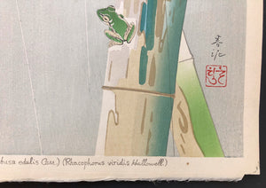 - Mosodake, Aogaeru  (Moso Bamboo and a Frog ) -