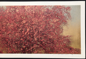 - Thick Branches (red), 1978 -