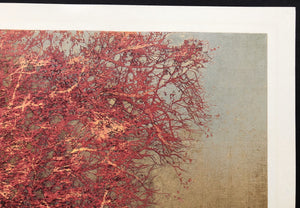 - Thick Branches (red), 1978 -