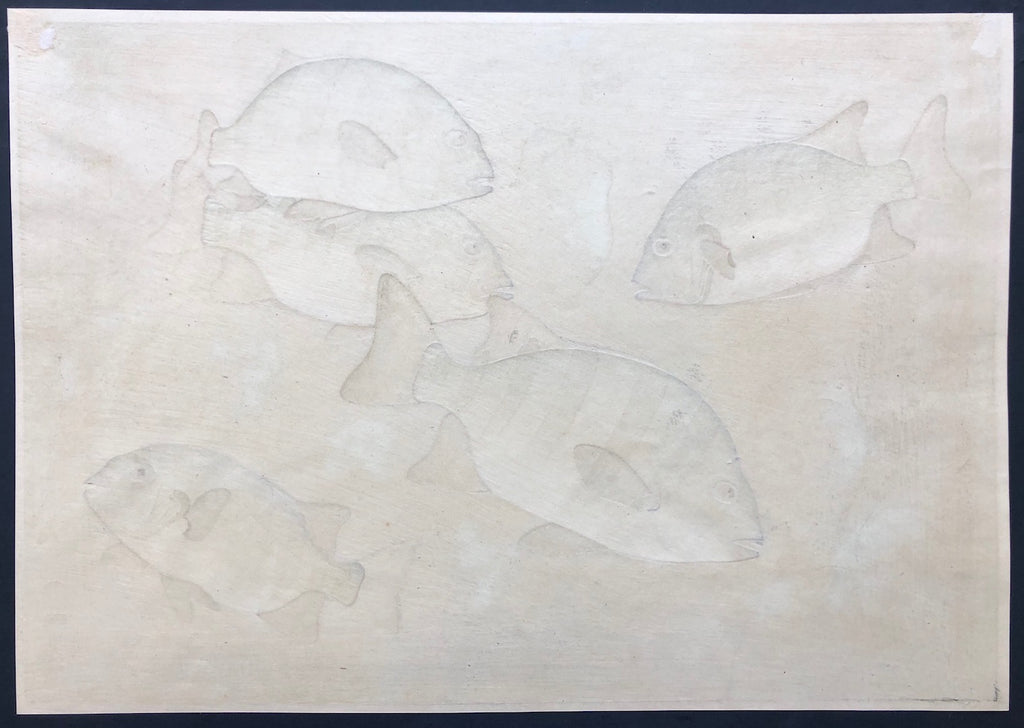 - Ishidai (Rock Sea Bream) From Art Portfolio OF Familiar Fishes OF Nippon -