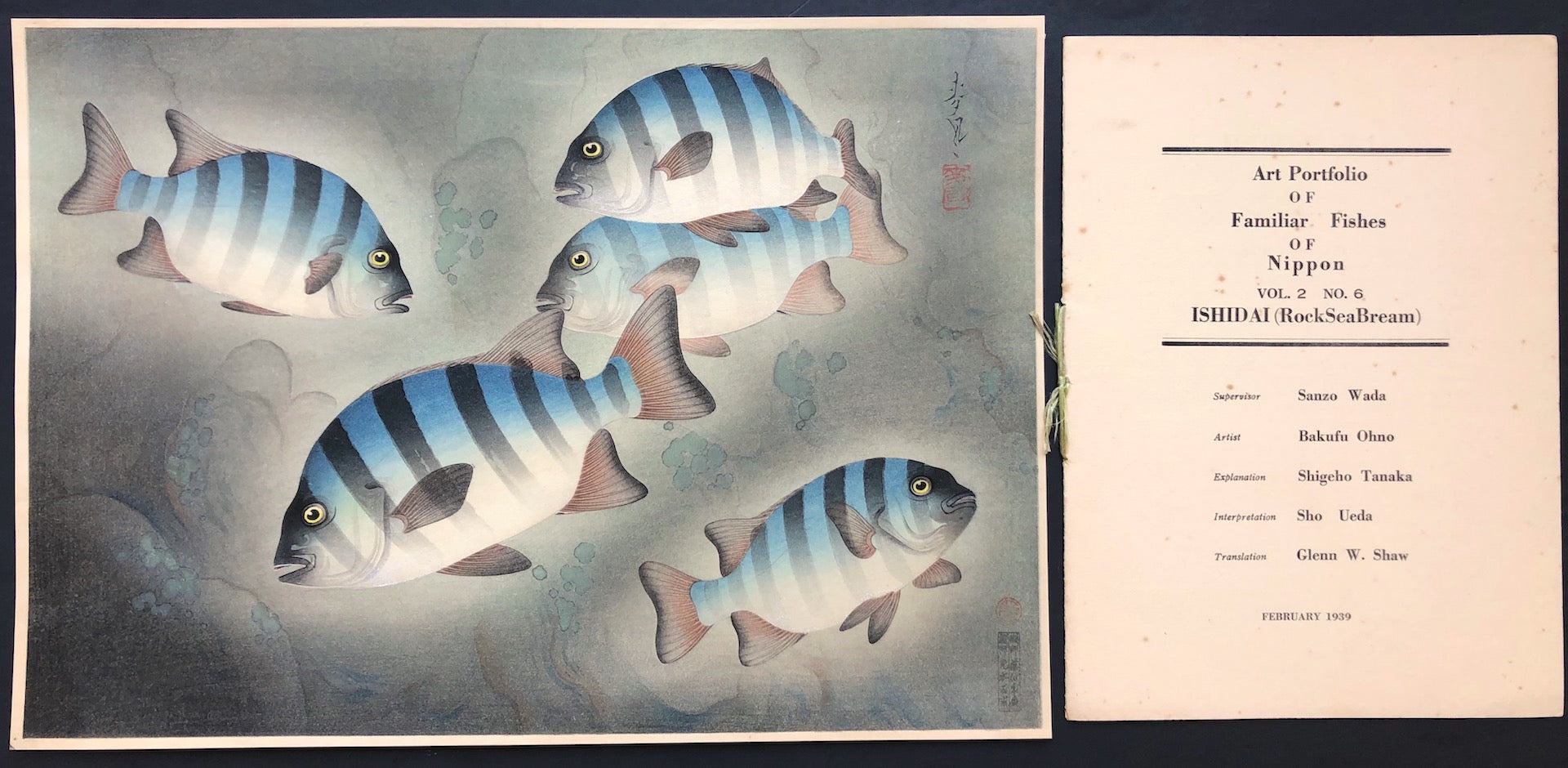 - Ishidai (Rock Sea Bream) From Art Portfolio OF Familiar Fishes OF Nippon -