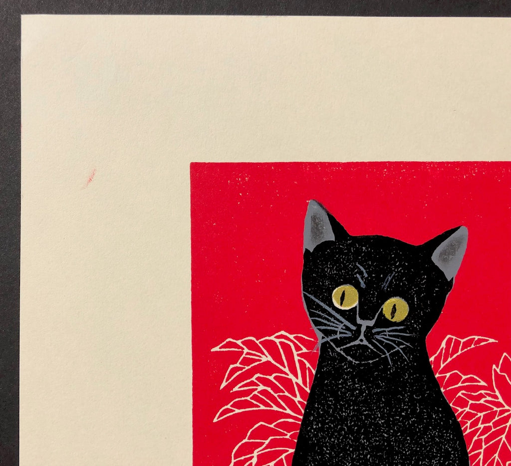 - Black Cats (invite) -