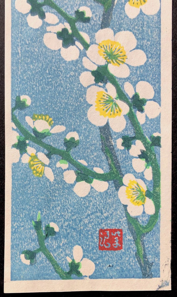 - Ume (Plum Blossoms from Flowers of All Seasons) -