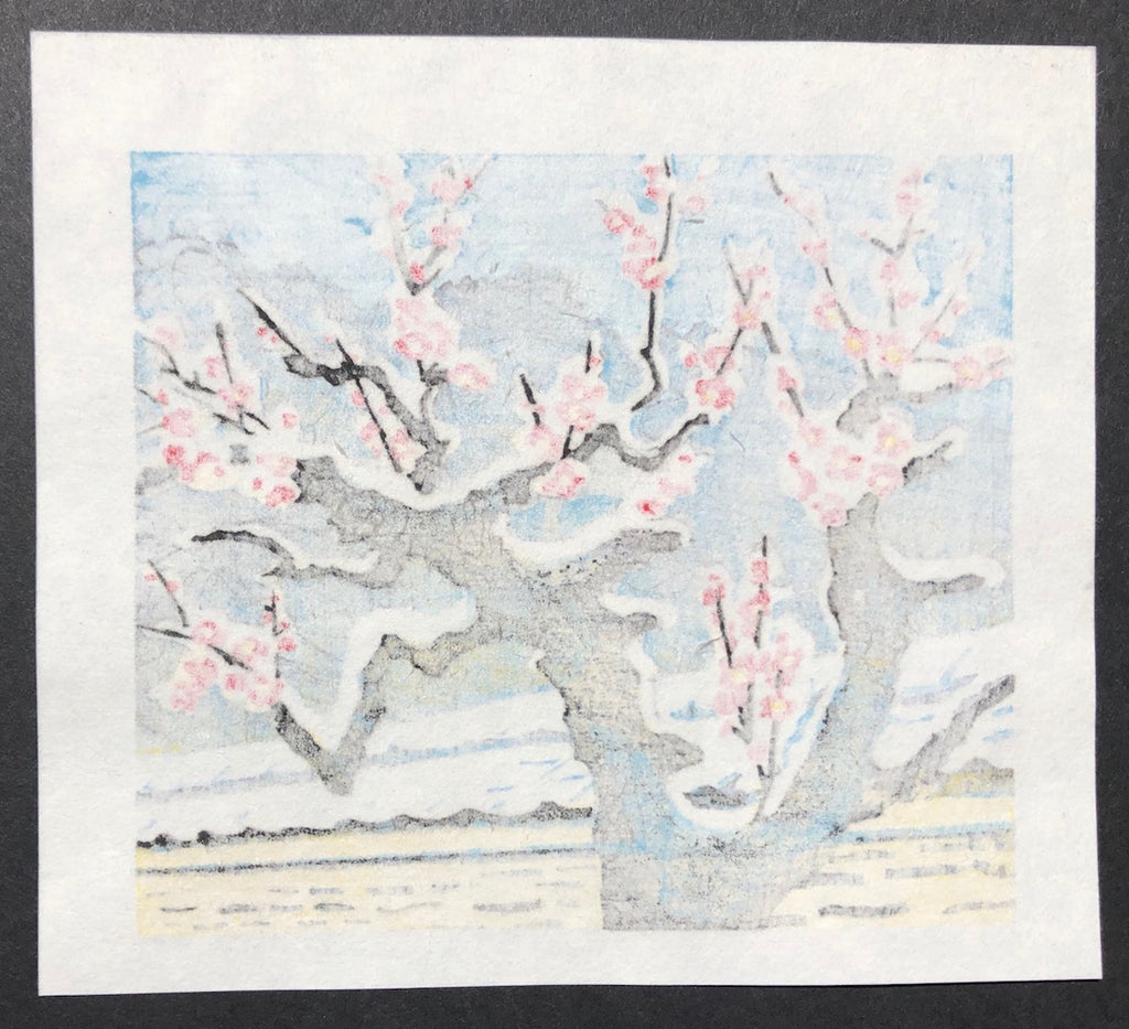 - Red Plum Tree in Snow -