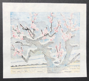 - Red Plum Tree in Snow -