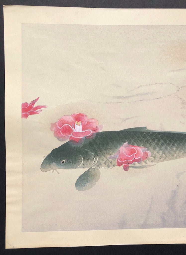 - Fuka Senrin (Floating Camellia and Carp) -