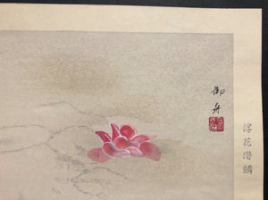 - Fuka Senrin (Floating Camellia and Carp) -