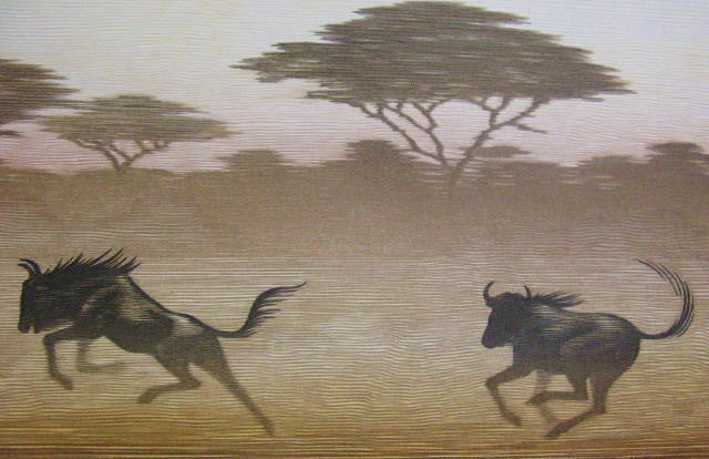 One Day in East Africa No.7 - SAKURA FINE ART