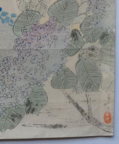 Ajisai (Hydrangea) - SAKURA FINE ART