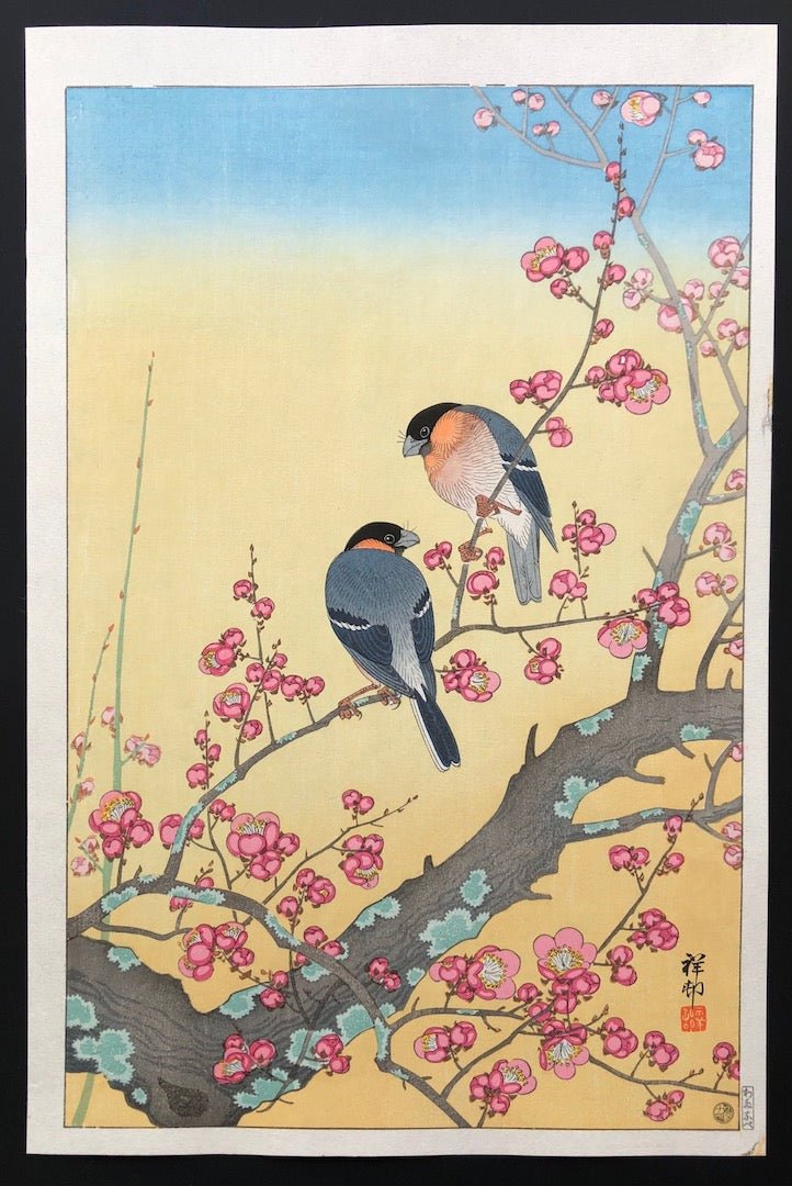  - Baika ni Uso (Bullfinch in the Plum Blossoms) - Koson (Shoson) Ohara - SAKURA FINE ART