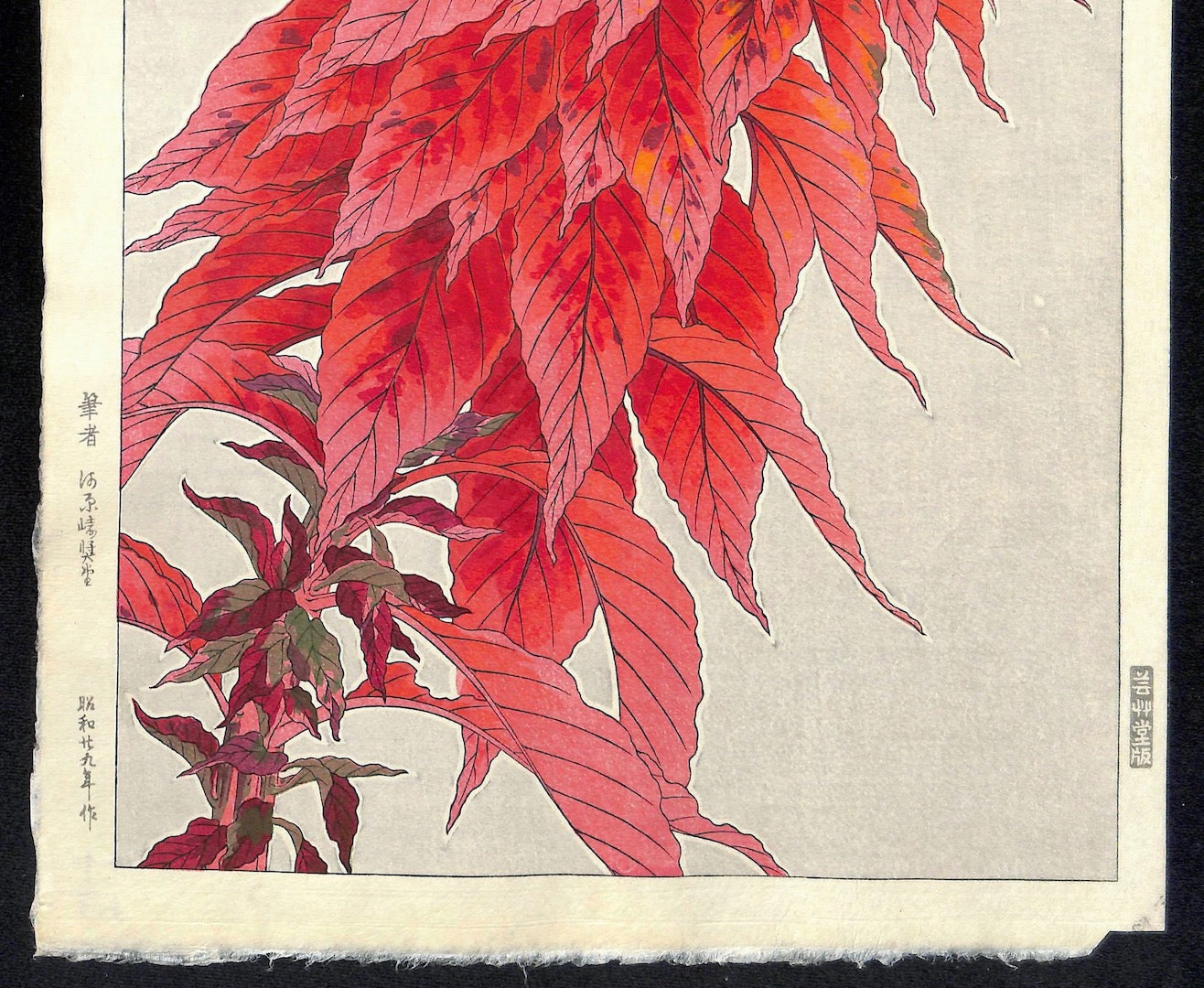 - Hageitou (Amaranthus tricolor)  - First edition -