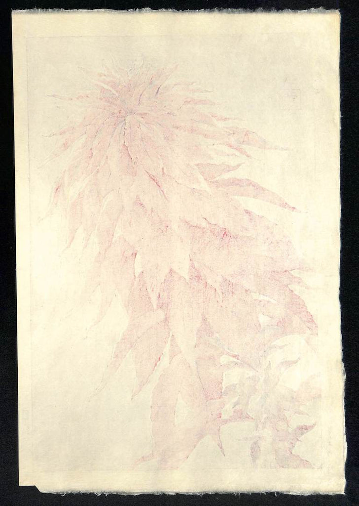 - Hageitou (Amaranthus tricolor)  - First edition -