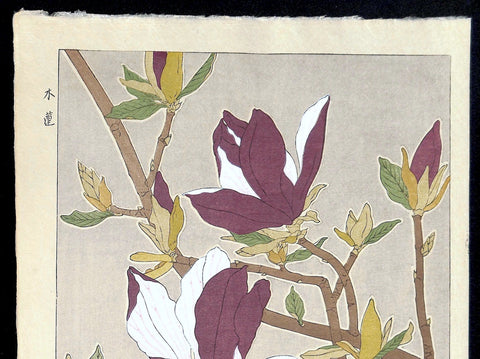 - Mokuren (Magnolia)  - First edition -