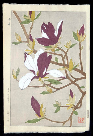 - Mokuren (Magnolia)  - First edition -