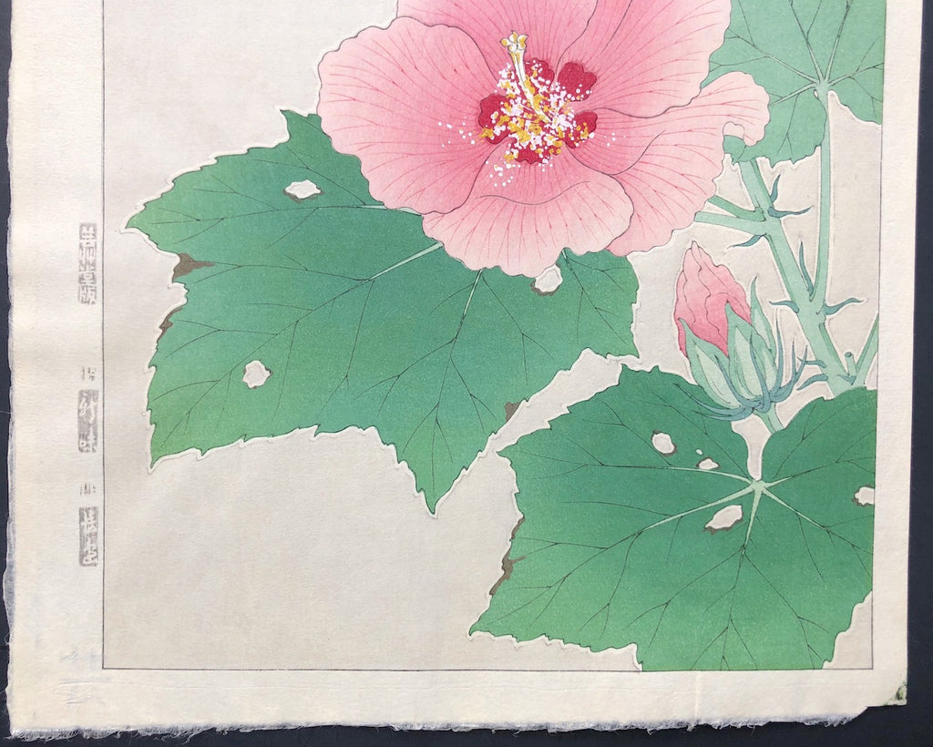 - Fuyou (Cotton Rose) - Shodo Kawarazaki - SAKURA FINE ART