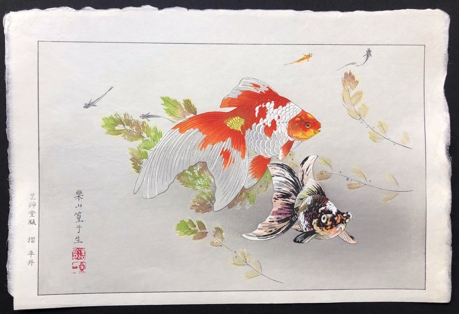  - Kingyo ni Medaka (Goldfish & Japanese Medaka Fish) - SAKURA FINE ART