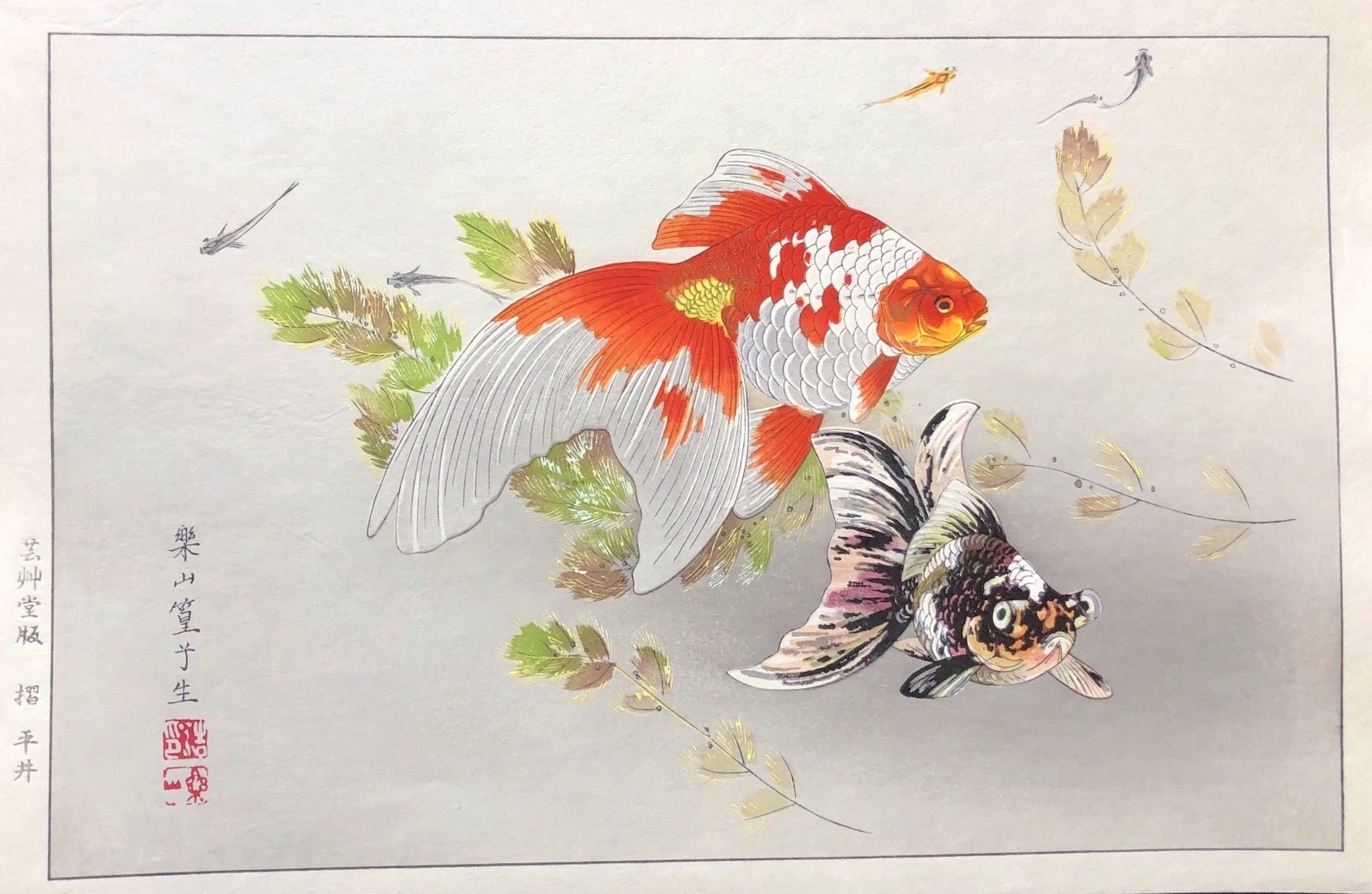  - Kingyo ni Medaka (Goldfish & Japanese Medaka Fish) - SAKURA FINE ART