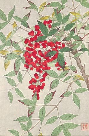 - Nanten (Nandina)  - First edition -