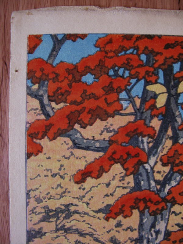 Oirase no aki  (The Autumn at Oirase) - SAKURA FINE ART