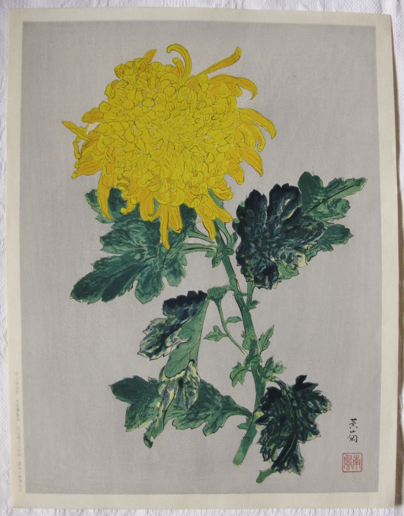 Ougiku (Yellow Chrysanthemum) - SAKURA FINE ART