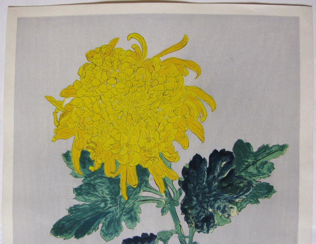Ougiku (Yellow Chrysanthemum) - SAKURA FINE ART