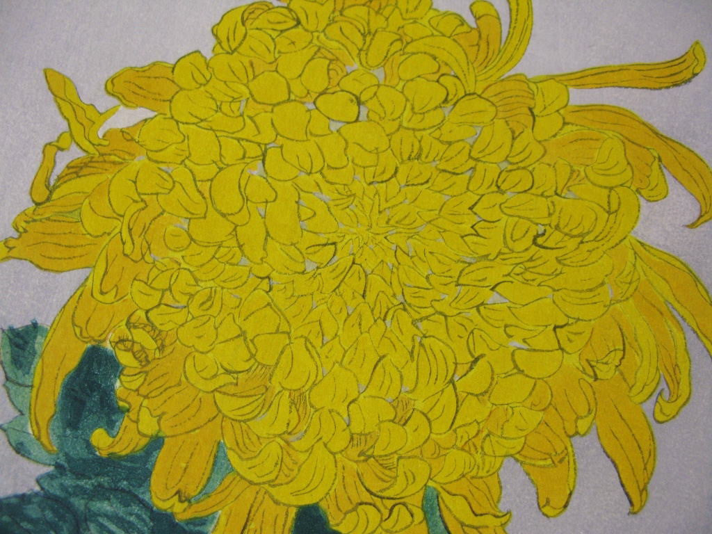 Ougiku (Yellow Chrysanthemum) - SAKURA FINE ART