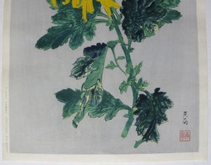 Ougiku (Yellow Chrysanthemum) - SAKURA FINE ART