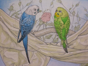 Budgerigar - SAKURA FINE ART