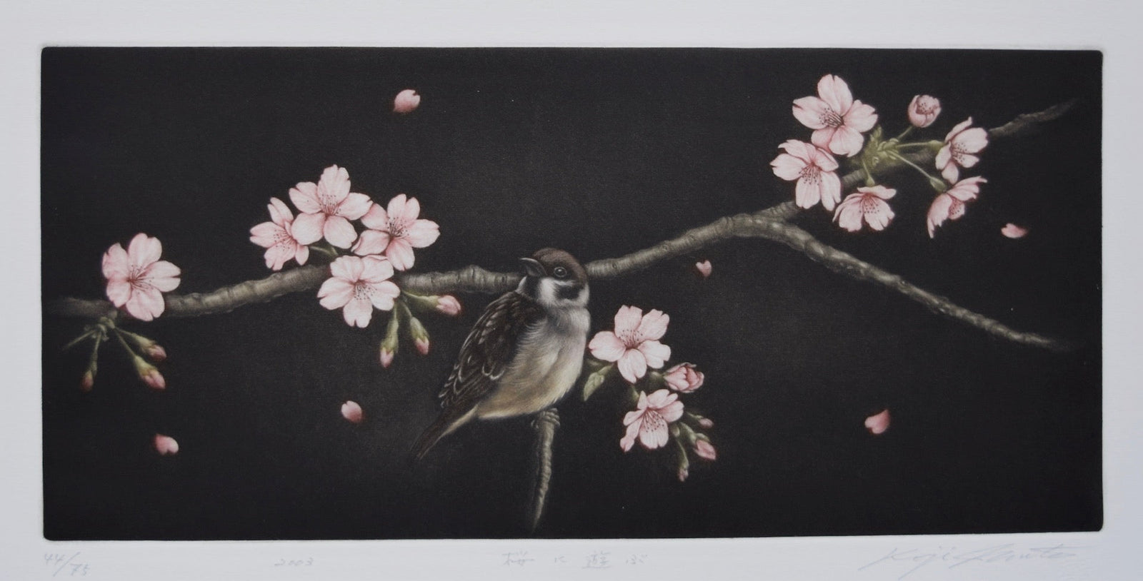 Sakura ni asobu (Sparrow and Cherry Blossoms) - Koji Ikuta - SAKURA FINE ART