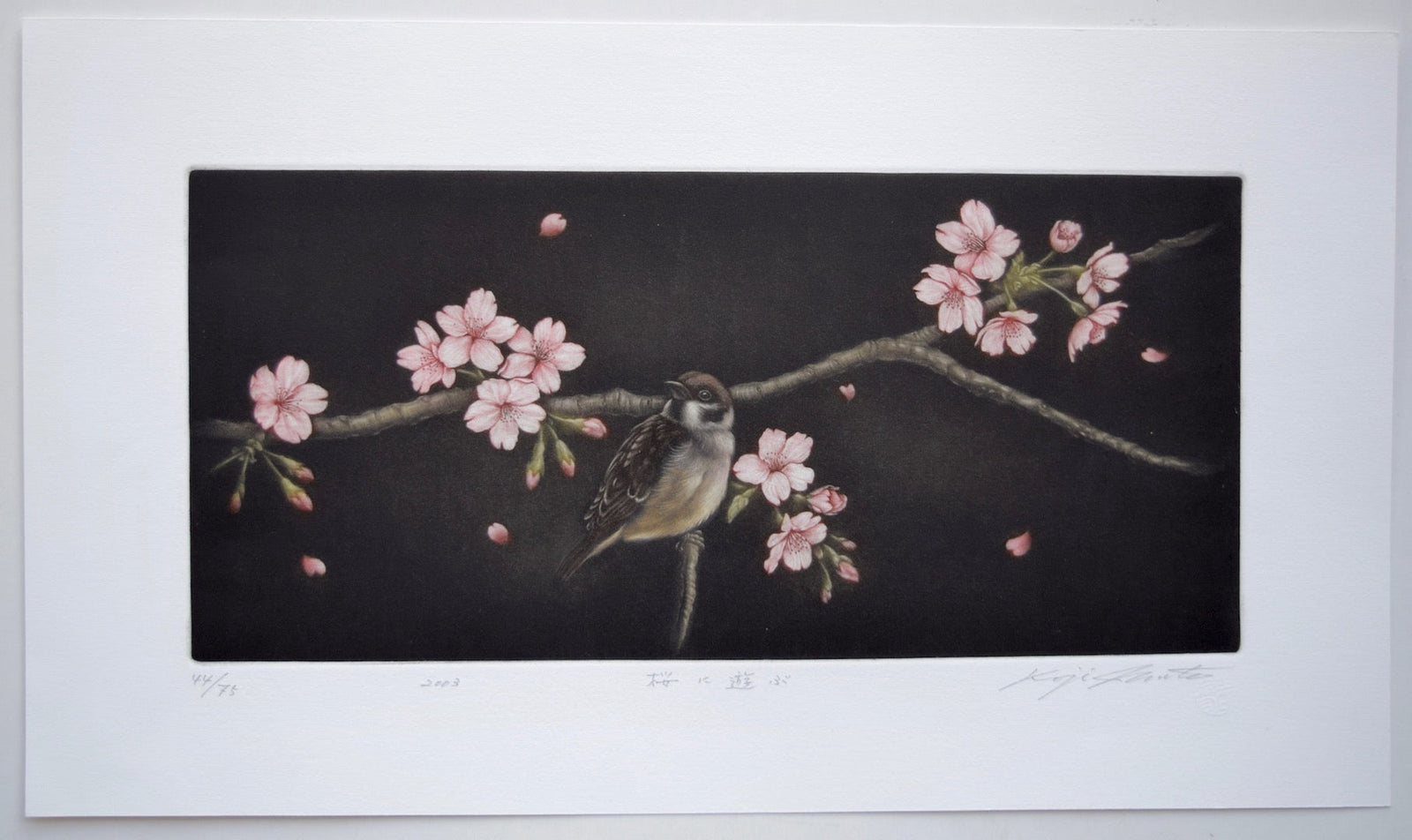 Sakura ni asobu (Sparrow and Cherry Blossoms) - Koji Ikuta - SAKURA FINE ART