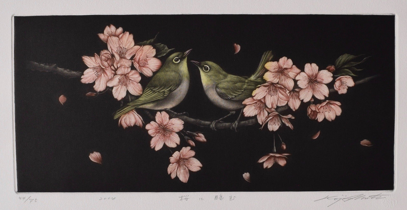 "Sakura ni mutsumu" (Bush Warblers and Cherry Blossoms) - Koji Ikuta - SAKURA FINE ART
