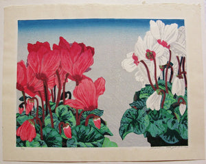 Cyclamen - SAKURA FINE ART