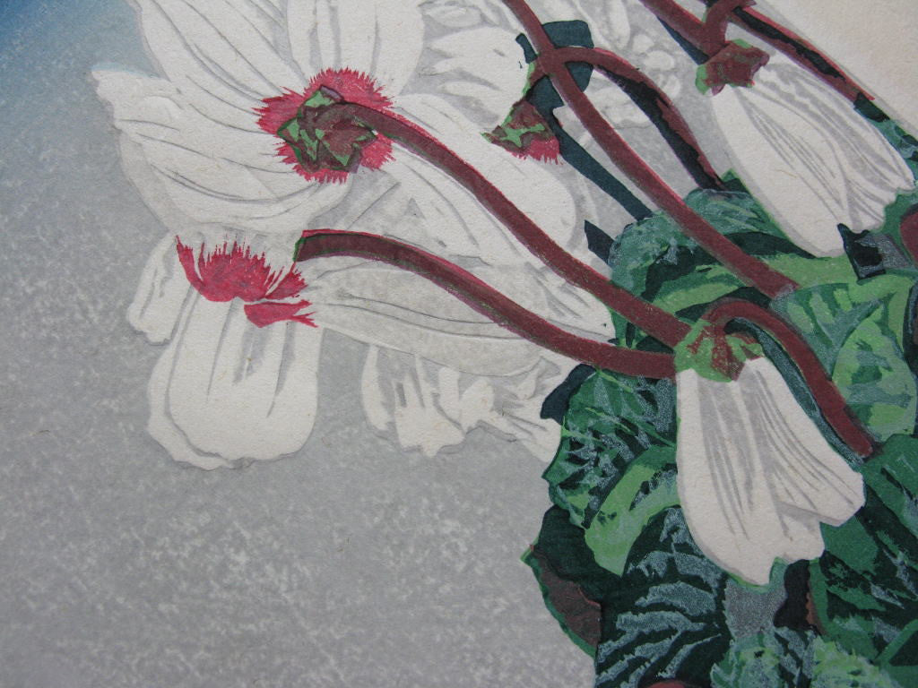 Cyclamen - SAKURA FINE ART