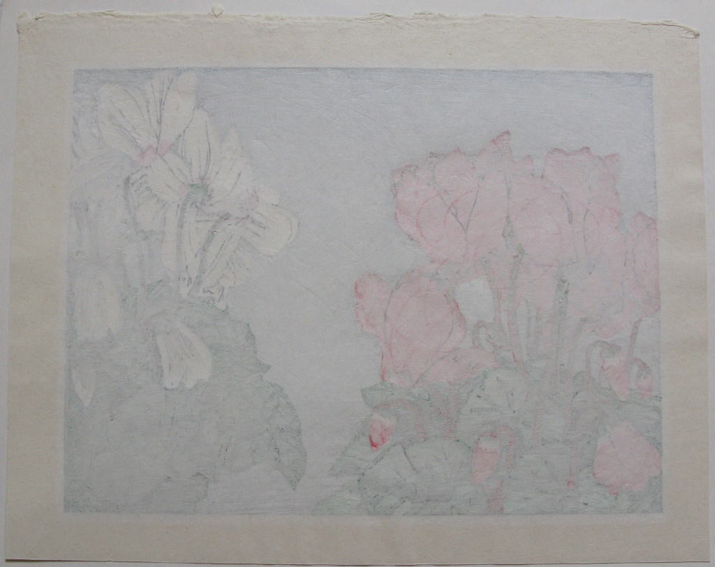 Cyclamen - SAKURA FINE ART