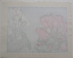 Cyclamen - SAKURA FINE ART